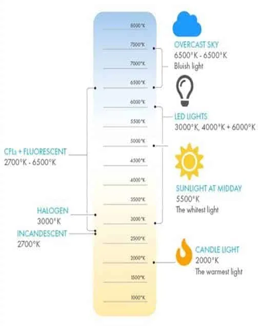 How to choose the color temperature of LED lights