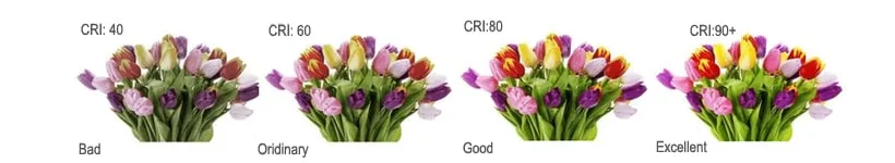 Different CRI Rates' performance