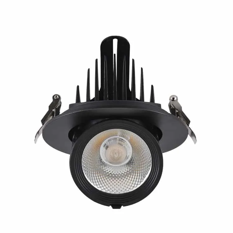 Black Gimbal led downlight