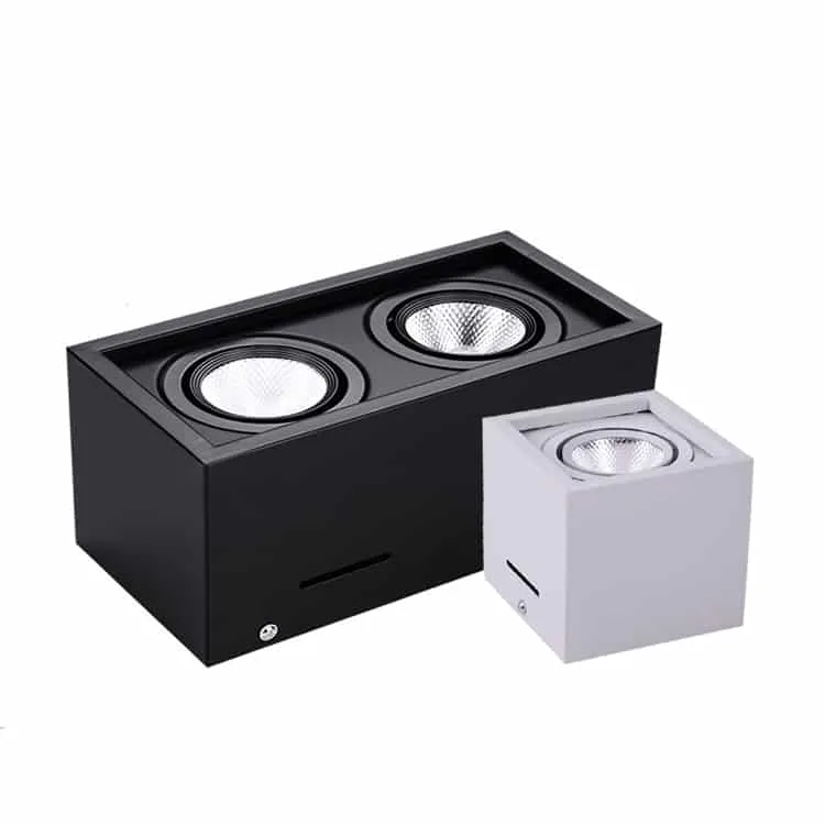 surface mount twin downlights