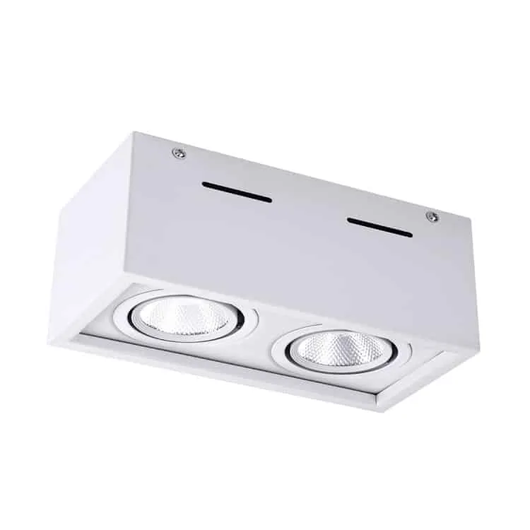 white twin downlight