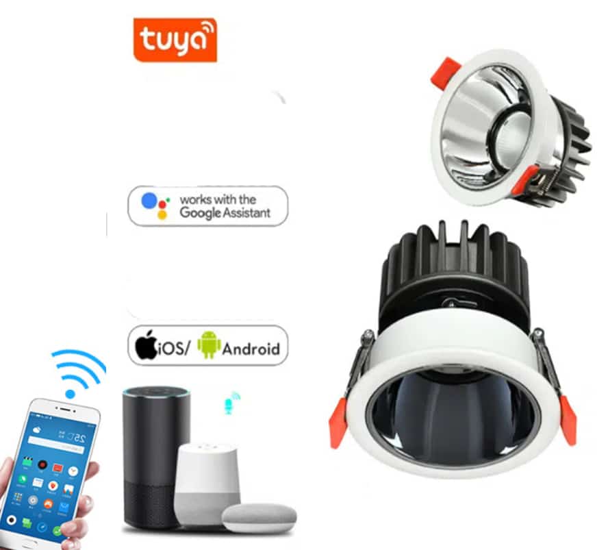 connect google home with Tuya App