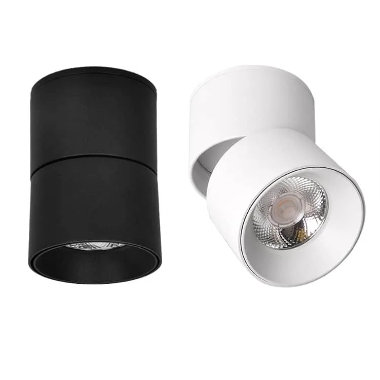 directional ceiling spotlights