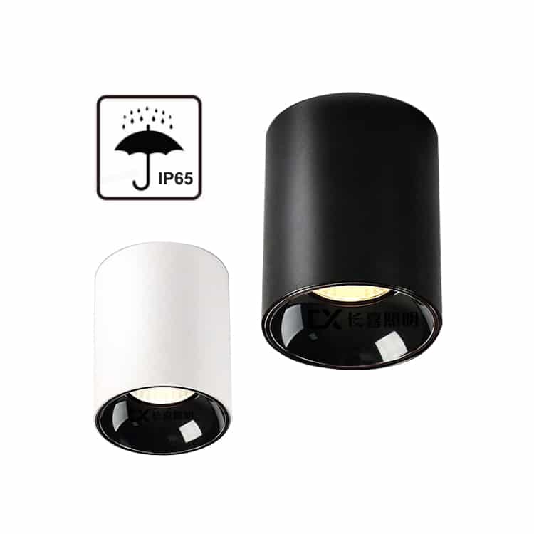 ip65 waterproof surface cylinder downlight