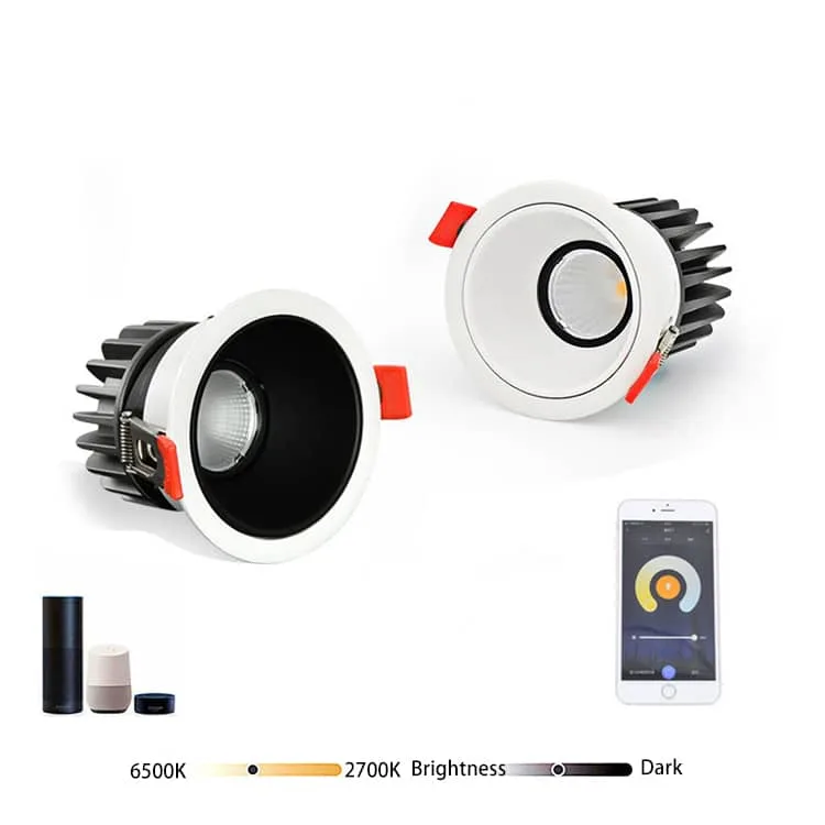 zigbee adjustable downlight